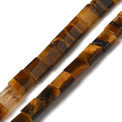 Natural Tiger Eye Beads Strands, 2-Hole, Square