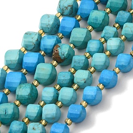 Dyed Natural Howlite Beads Strands, with Seed Beads, Faceted Twist