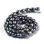 Natural Cultured Freshwater Pearl Beads Strands, Two Sides Polished, Dyed