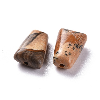 Natural Picture Jasper Beads, Trapezoid
