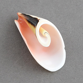 Spiral Shell Pendants, 38x21x14mm, Hole: 1.5mm
