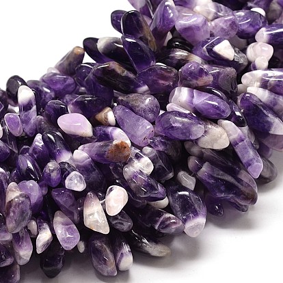 Natural Amethyst Nuggets Bead Strands, 14~27x5~13mm, Hole: 1mm, 16 inch