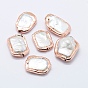Natural Cultured Freshwater Pearl Beads, Edge Plated, Rectangle