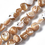 Natural Trochid Shell/Trochus Shell Beads Strands, Nuggets