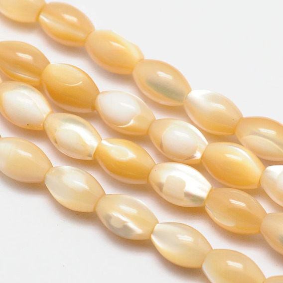 Brins de perles ovales en coquillage naturel, 9x6mm, Trou: 1mm, Environ 47 pcs/chapelet, 15.9 pouce
