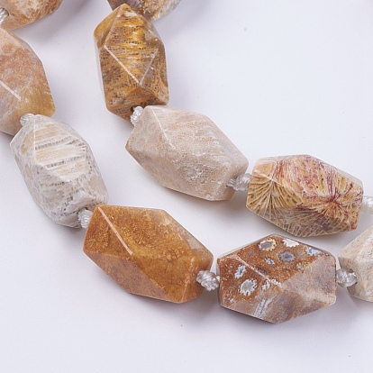 Fossiles naturelle perles de corail brins, facette, ovale