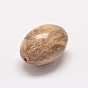 Perles en bois pétrifié naturel, ovale