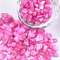 Shell Beads, For Nail Art Decoration Accessories, No Hole/Undrilled, Dyed, Chips