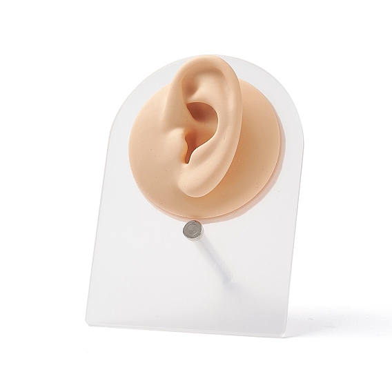 Soft Silicone Ear Displays Mould, with Acrylic Stands, Earrings Ear Stud Display Teaching Tools for Piercing Suture Acupuncture Practice