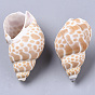 Perles de coquillage en spirale naturelle, perles non percées / sans trou