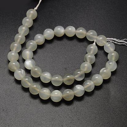 Brins de perles rondes en pierre de lune blanche naturelle, Grade a