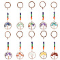 Flat Round with Tree of Life Gemstone Chips Keychains, with Chakra Round Gemstone and Brass Findings, for Car Backpack Pendant Accessories