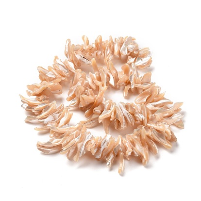 Natural Trochid Shell Beads Strands, Chip