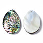 Natural Abalone Shell/Paua Shell Pendants, with Freshwater Shell, Teardrop