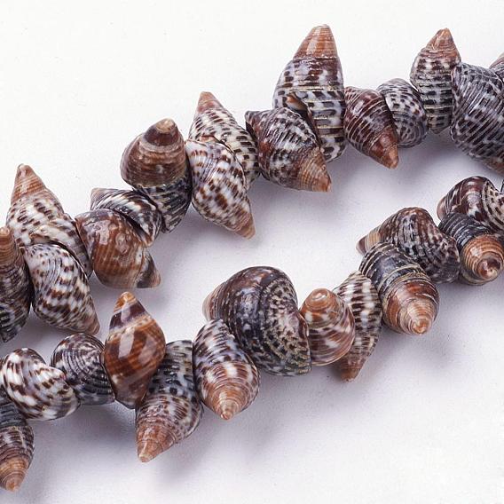 Natural Spiral Shell Beads Strands, Conch