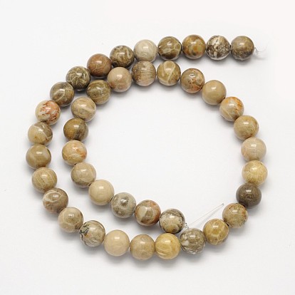 Natural Fossil Coral Round Bead Strands