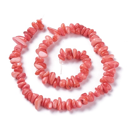 Natural Freshwater Shell Beads Strands, Chip, Dyed
