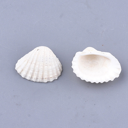 Clam Shell Pendants
