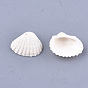 Clam Shell Pendants
