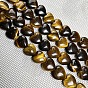 Natural Tiger Eye Beads Strands, Heart