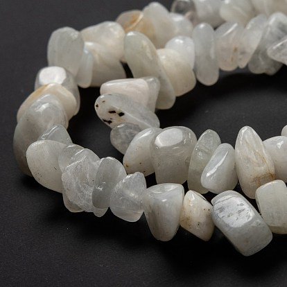 Natural Rainbow Moonstone Beads Strands, Chip