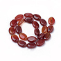 Natural Carnelian Beads Strands, Dyed Oval