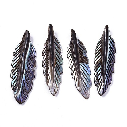 Natural Freshwater Shell Pendants, Dyed, Carved, Feather