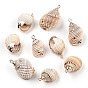 Pendentifs en coquillage en spirale naturelle galvanisés, charmes shell, avec boucles en fer doré
