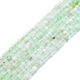 Brins naturels de perles de chrysoprase, facette, ronde