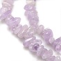 Natural Amethyst Beads Strands, Chips, 6~10x4~6x3~!5mm, Hole: 1mm, about 32 inch