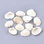 Charmes shell, coquille