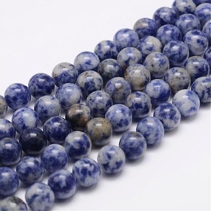 Brins de perles de jaspe de tache bleue naturelle, ronde