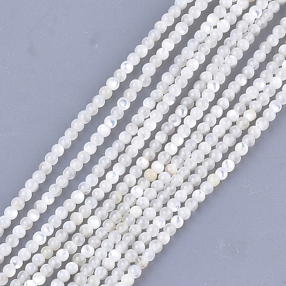 Perles naturelles de coquillages blancs, brins de perles en nacre, ronde