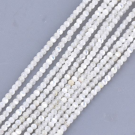 Perles naturelles de coquillages blancs, brins de perles en nacre, ronde