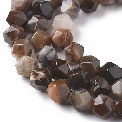 Natural Petrified Wood Beads Strands, Star Cut Round Beads, Faceted