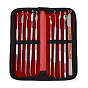 Stainless Steel Professional Teeth Cleaning Tool Kits, with Leather Bag, for Adults, Kids, Family, Dogs
