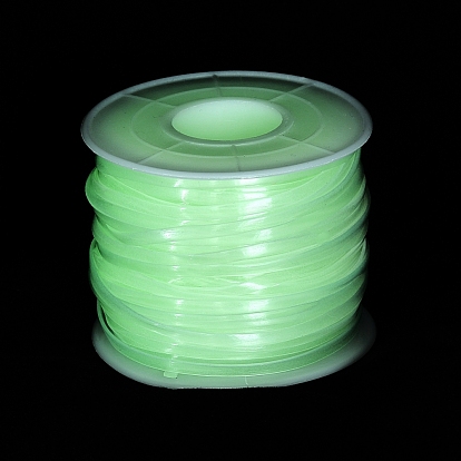 Luminous PVC Synthetic Rubber Cord, No Hole, with Spool, Flat