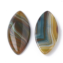 Natural Agate Natural Brazilian Agate Cabochons, Dyed, Horse Eye, 40x19.5x5~6.5mm