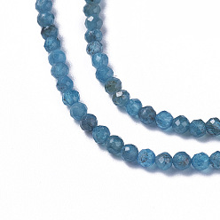 Apatite Natural Apatite Beads Strands, Faceted, Round, 3~3.5x2.5~3mm, Hole: 0.3mm, about 114~141pcs/strand, 15.1~16.4 inch(38.4~41.8cm)
