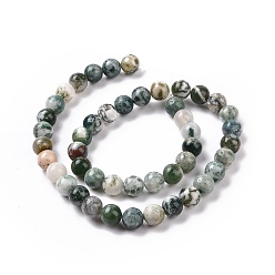 Tree Agate Natural Tree Agate Beads Strands, Round, 10mm, Hole: 1mm, about 38pcs/strand, 15.3 inch(39cm)