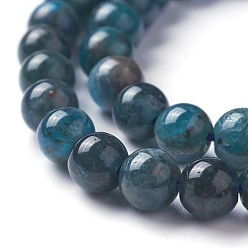 Apatite Perles naturelles apatite brins, ronde, 8mm, Trou: 1.2mm, Environ 46~47 pcs/chapelet, 14.7~15.5 pouce (3~39.5 cm)