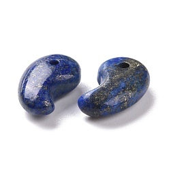 Lapis Lazuli Naturelles lapis-lazuli pendentifs, Forme de virgule, 20x13x7mm, Trou: 2mm
