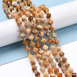 Fossil Coral Natural Fossil Coral Beads Strands, with Seed Beads, Faceted, Diagonal cube beads, 5~6x5~6x4~5mm, Hole: 1mm, about 49~55pcs/strand, 15.35''~15.75''(39~40cm)
