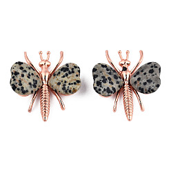 Dalmatian Jasper Natural Dalmatian Jasper Display Decorations, with Rose Gold Color Plated Alloy Findings, Dragonfly, 44x36~39x12mm