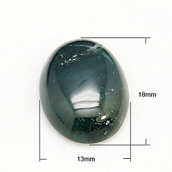 (RRHB277) Кристалл на подкладке из медово-бежевого цвета Природных драгоценных камней кабошон, овальные, Индийский агат, 18x13x5 мм