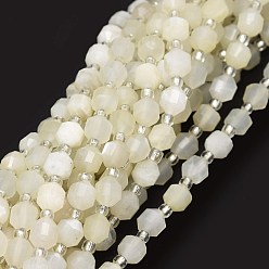 White Moonstone Grade A Natural White Moonstone Beads Strands, with Seed Beads, Faceted, Bicone, Double Terminated Point Prism Beads, 5~7x6mm, Hole: 0.8mm, about 48pcs/strand, 15.55 inch(39.5cm)