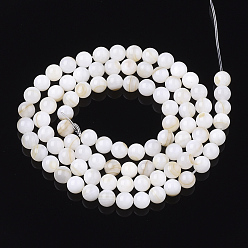 Seashell Color Freshwater Shell Beads Strands, Round, Seashell Color, 5mm, Hole: 0.6mm, about 88pcs/strand, 15.9 inch