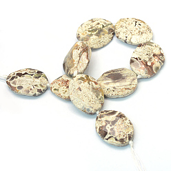 Light Yellow Faceted Oval Natural Ocean Jasper Beads Strands, Light Yellow, 39~56x30~45x7~11mm, Hole: 3mm, about 7~8pcs/strand, 15.7 inch