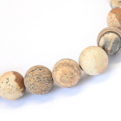 Picture Jasper Frosted Natural Picture Jasper Round Bead Strands, 10~10.5mm, Hole: 1.2mm, about 36pcs/strand, 15.5 inch