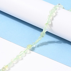 Prehnite Natural Prehnite Beads Strands, Nuggets, Tumbled Stone, 5~8.5x5.5~7x3.5~4mm, Hole: 0.7mm, about 60~66pcs/strand, 13.8 inch(35cm)